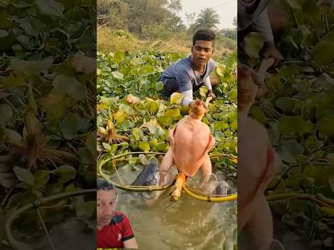 Nova Técnica De Pescar #bigfish #fish #fishing #pedreiro #food #pescasub