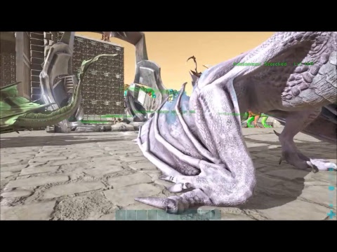 Hardy's Ark Rite of Passage