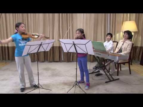 Vivaldi Concerto for Two Violins in A minor 1st movement