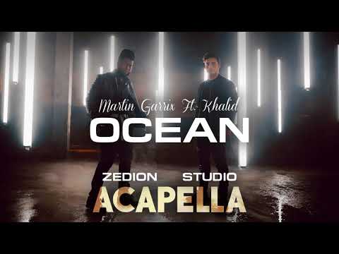 Martin Garrix Feat. Khalid - Ocean (Studio Acapella by ZEDION) + Dry Stems