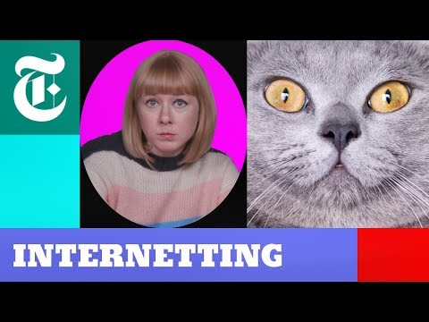 Cats vs. Dogs: Who Rules the Internet? | Internetting Season 2