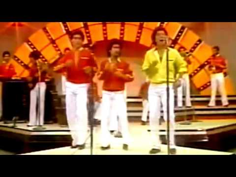 Musiquito - El Tulipan