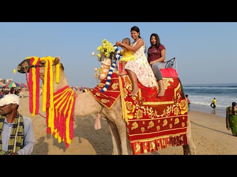first time camel ride Puri sea beach
