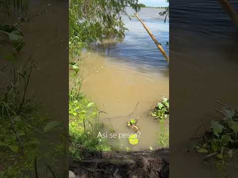 pesca en Ibicuy entre rios