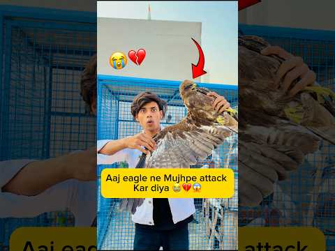 Aaj eagle ne mujhpe attack Kar diya 😭💔😱 #minivlog #viral #shorts