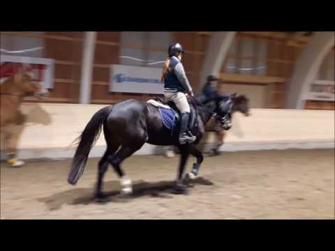 Ruuna synt.2009, i.Balou du Rouet