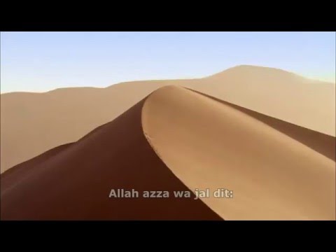 Le danger de la langue | Cheikh Sadullah Bajrami