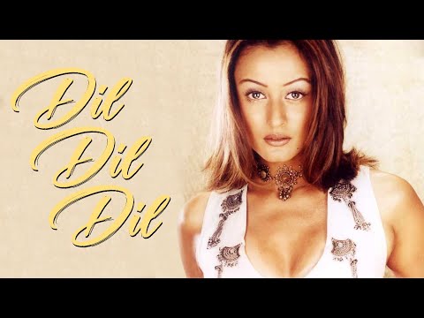 आवारा दिल | Dil Dil Dil Awara Dil - Female | Hema Sardesai | Namrata Shirodkar | Aaghaaz