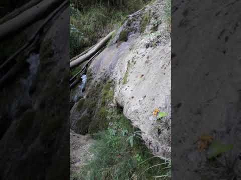 Steckborn Speckbachtobel  1 vom 15. September 2019