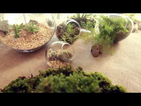 Aprenda a fazer microjardins | Learn how to make smalls gardens