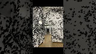 Download lagu SCARED OF MOTHS? 😩😨😱 #interestingfacts #interesting #scary #shorts mp3