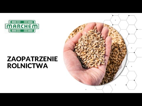 Zobacz filmy, Marchem-Smolarz I Czech Spółka Z Ograniczoną Odpowiedzialnością, Byczyna