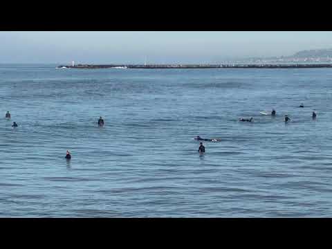 Serafin mission beach San Diego California1usa1japan