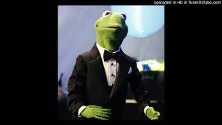 Kermit the Frog - Disco Frog
