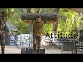 En Peyar Surya En Veedu India Bgm Listen Bgm