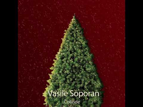 Colinda Vasile Soporan - Vin Colindatori (repertoriu Tudor Gheorghe) Vioara Ovidiu mate