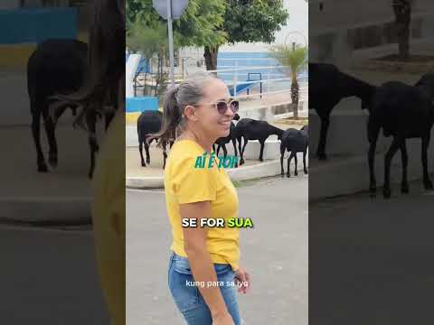 aí é top #paraíba #agro #igaracy