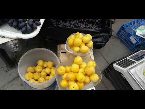 Walking tour in Ukraine Poltava city Sight seeing.