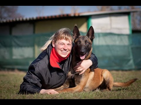 Moric van de Duvetorre - obedience & protection