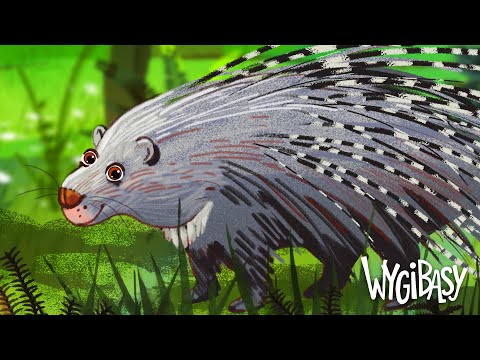 JEŻOZWIERZ – WYGIBASY TV - piosenki dla dzieci