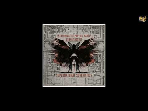 Pythagoras The Praying Mantis  - Natural Introduction [prod by Grungy Boguez]