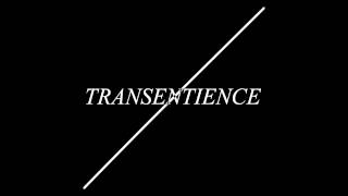 Transentience