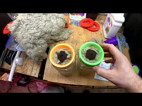 New Hydroponic Cucumbers 12 20 22