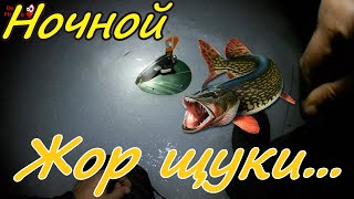 Ловля на жерлицы по первому льду ночью