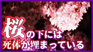 桜の下に本当に死体が埋まっているか確かめました【怪談小噺・蒐】#完