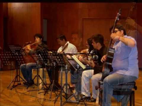 EL GATO NEGRO pasillo MADEROSSO version en ensayo