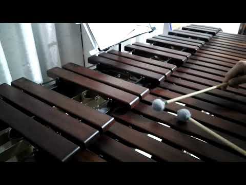 Inni di lode N°567: Alleluia, voglio proclamar Marimba Cover