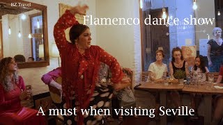 Flamenco Dance Show Seville Spain