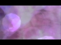 Benzos -  "Teach Me"