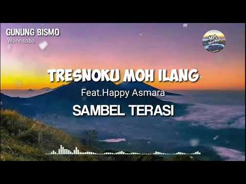 Top Tresnoku moh ilang ( sambel terasi ) Happy Asmara lirik