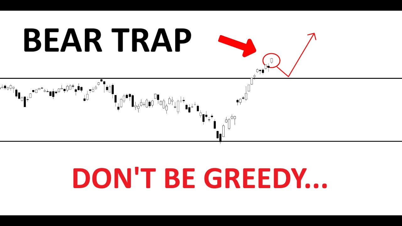 Technical Analysis of Stocks: SPY / QQQ / NVDA / TSLA / AMD / PLTR / MU / INTC