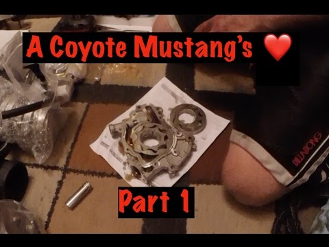 How To: Paxton Supercharger and Oil Pump Gear/Crank Sprocket Install (Gen 1) p1