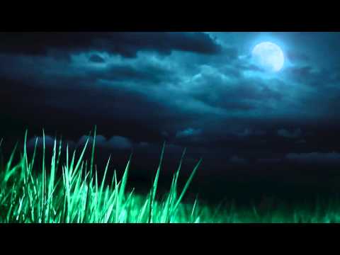 Trazer - Unstoppable