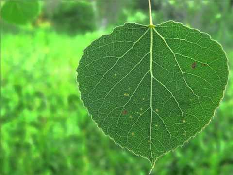 Abraham Hicks - Control vs Personal Empowerment