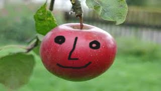 Claude Fonfrède, Dominique Becker - La pomme et l'escargot