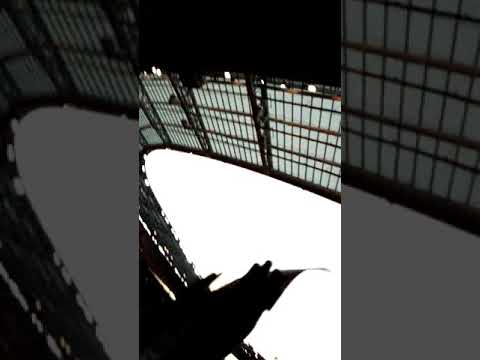 Ambiance au stade de France final top14 2018