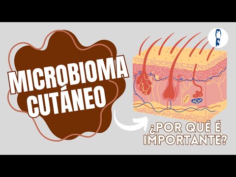 Vídeo: O microbioma cutáneo