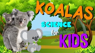 Koalas - Science for Kids gameplay video by SMatheson, 3:57 duration