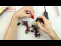 Solar 1161 - видео