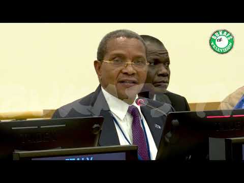 Conflict Resolution: VP Shettima Urges AU To Renew Focus On Diplomacy*