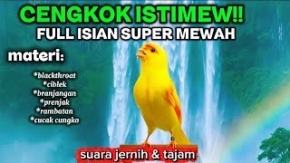 Download lagu CENGKOK ISTIMEWA‼️ masteran kenari full isian super mewah mp3 Download lagu CENGKOK ISTIMEWA‼️ masteran kenari full isian super mewah mp3