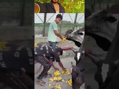 #help #viral #videoshort