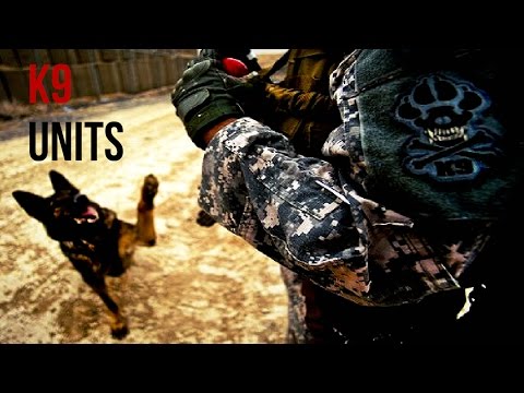 K9 Units | Strength in Diversity