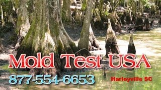 preview picture of video 'Mold Test USA Harleyville SC - Mold Testing and Inspections'