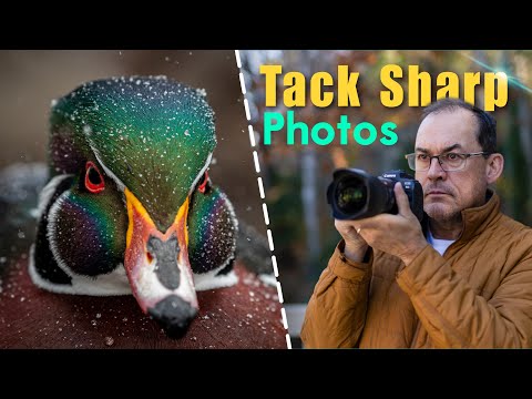 PHOTOS OUT OF FOCUS?  HERE'S WHY