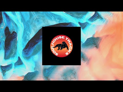 Vintage Culture, FFlora, Meca (feat. Tristan Henry) - Butterflies (Extended Mix)